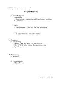 Chrysanthemums: Cultivation, Growth, and Care - Prof. Daniel F. Warnock