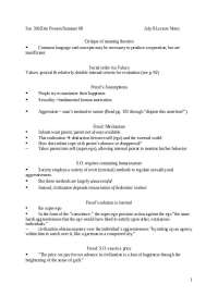 Lecture Notes on Soc 316: Critique of Meaning Theories & Durkheim's Perspective on Suicide