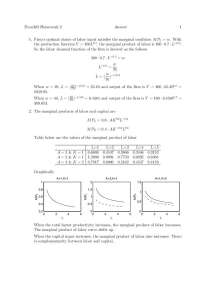 Econ303 Homework 2: Firm's Labor and Capital Demand - Prof. Rui Zhao