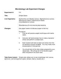 Simple Stains | Microbiology Lab Experiment Changes | BI 203 - Docsity