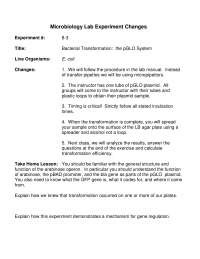 Bacterial Transformation - Microbiology Lab Experiment | BI 203 - Docsity