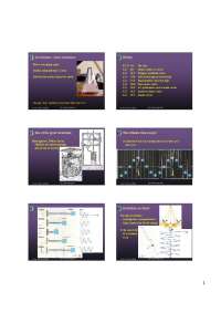 History and Mechanisms of Clocks and Oscillations