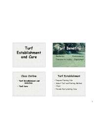 Turf Establishment and Care: A Comprehensive Guide