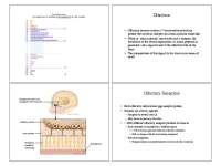 Lecture Slides for Olfaction | Animal Biology | IB 104