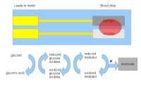 Lecture Notes on Spectrophotometer of Biomedical Instrumentation | BIOE 414