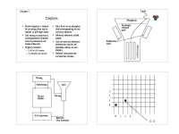 Understanding Raster Displays & Bresenham's Line Algorithm: Pixel & Polygon Filling