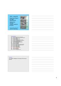 Finish Fossil Record begin Macroevolution - Lecture Slides | IB 372