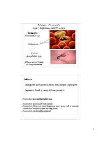 Lecture Slides on Malaria - Entomology | BIOL 454