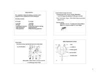 Insect Reproductive Strategies: K&R, Accessory Glands, and Mating