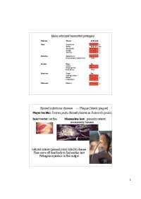 Plague and Other Arthropod-Borne Diseases: Causes, Symptoms, and Historical Perspective