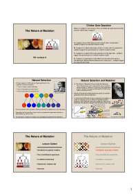 Genetic Mutation: Lecture Outline on Luria-Delbrück Experiment and Controversy - Prof. Ben