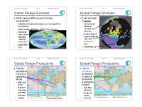 Nutrient Cycle and Productivity in the Ocean: A Focus on Pelagic Zones
