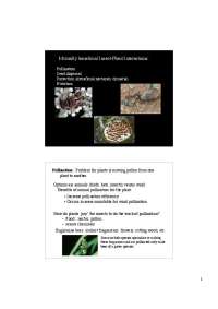 Mutually Beneficial Insect-Plant Interactions: Pollination Seed Dispersal, Protection | BIOL 454