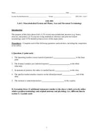 Musculoskeletal System and Planes, Axes and Movement Terminology - Lab | ESS 3301