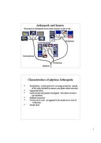 Arthropods and Insects - Lecture Slides | BIOL 454