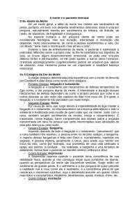 a morte e o paciente terminal