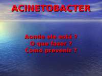 Acinetobacter: o que é e como combater?