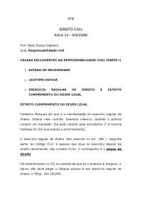 Excludentes da Responsabilidade Civil e Dano Moral no Novo Código Civil Brasileiro