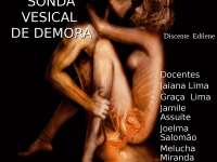 Sonda vesical de demora