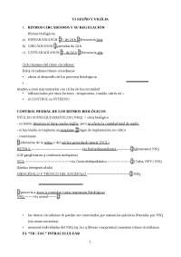 Regulación de los Ritmos Circadianos y el Sueño: Núcleo Supraquiasmático (NSQ) y Hormonas 