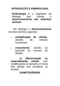 aula 1 embriologia (espermatogenese)