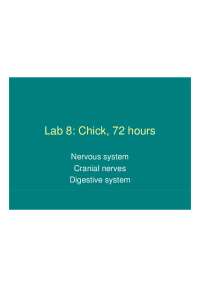 Nervous System, Cranial Nerves, Digestive System - Lab 8 | ZOL 320