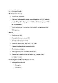 Molecular Genetics: E. coli Chromosome, Plasmids, Antibiotic Resistance & Transfer