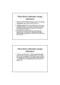 Determinants of Canopy Reflectance and Chlorophyll Concentrations