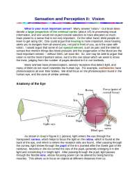 Sensation And Perception Ii Vision Lecture Notes Psyc 1000 Docsity Sensation And Perception Ii Vision Lecture Notes Psyc 1000 Docsity