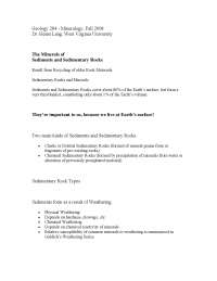 The Minerals of the Sediments and the Sedimentary Rocks | GEOL 284 ...
