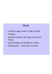 Birds and Mammals: Comparative Anatomy and Adaptations - Prof. Stephen J. Salek