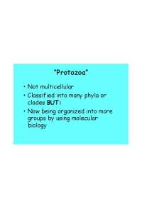 Trypanosoma lewisi: Protozoa Classification, Locomotion, Nutrition, Reproduction - Prof. M