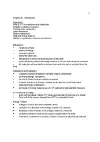Notes on Metabolism - Human Anatomy and Physiology I | BIOL 1151