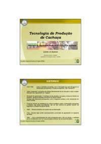 Produção de Cachaça de Qualidade: História, Caracterização e Fermentação