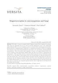 Magnetobiologia: Efeitos Biológicos de Campos Magnéticos