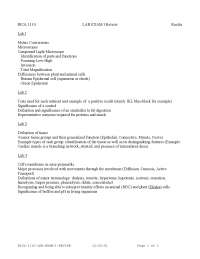 Lab Exam 1 Review - General Biology I | BIOL 1110 - Docsity