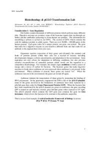 Gene Regulations and Transformations in Biotechnology | BIO 9