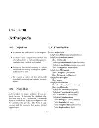Lecture Notes on Arthropods - Invertebrate Zoology | BIOL 460 - Docsity