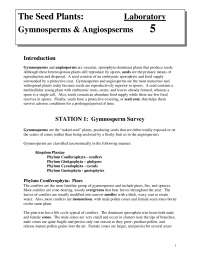 The Seed Plants: Gymnosperms and Angiosperms - Lab | BIOL 1407 - Docsity