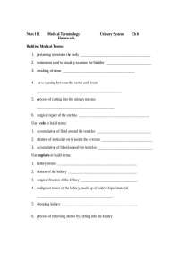 Urinary System - Medical Terminology Homework | NURS 111