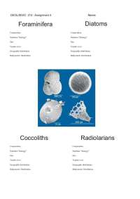 Foraminifera, Diatoms - Assignment 4 for Oceanography | EESC 210