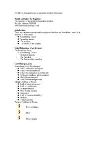 Human Factors in Industrial Accident Prevention: Anatomy of an Accident and Its Causes
