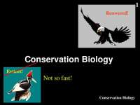 Conservation Biology: Genetic Diversity and Species Diversity of Various Species
