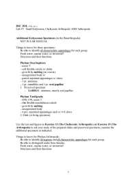 Lab #7:Small Ecdysozoa, Chelicerate Arthropods AND Arthropods | BSC 201