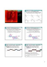 Cats' Night Vision & Human Eye: Electromagnetic Waves & Vision - Prof. Albert A. Gapud