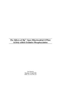 Mitochondrial ATPase Activity within Oxidative Phosphorylation: An Experimental Study