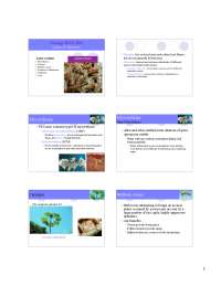 Ecology - Lecture Slides on Mutualism - Mycorrhizae | BIOL 250 - Docsity