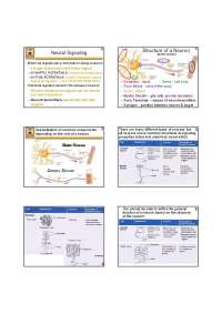 Neural Signaling - Psychopharmacology - Lecture Slides | PSY 351