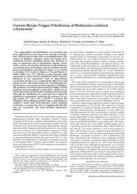 Certain Metals Trigger Fibrillation of Methionine-Oxidized Synuclein | CHEM 274