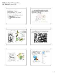 Slides on Photosynthesis - Biology of Land Plants | BIOS 305 - Docsity